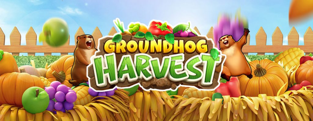 รีวิวเกมสล็อต Groundhog Harvest